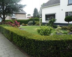 goor1
